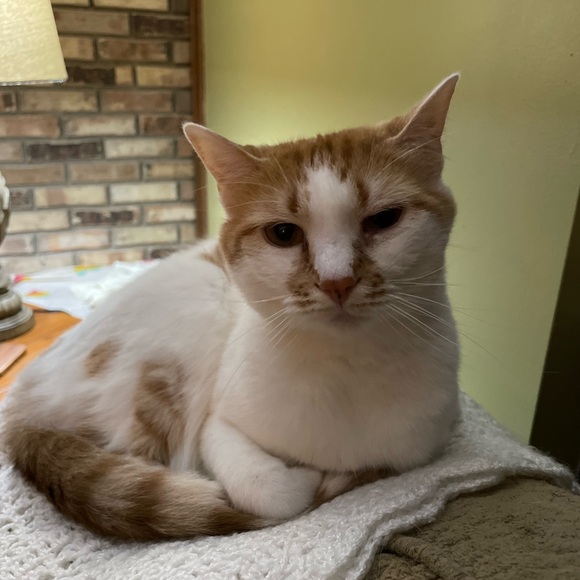 Live Share Show! - Picture 4 of 4